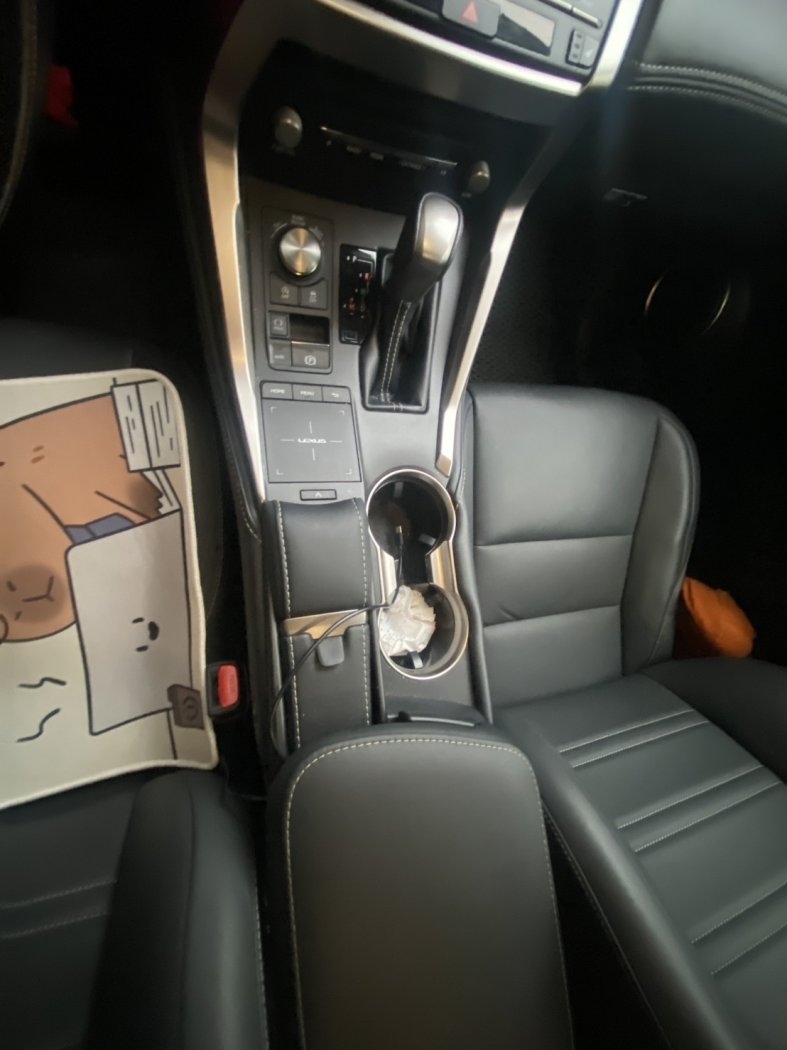 Lexus 凌志 ／ NX 系列 ／ 2021年 ／ 2021年Lexus NX200 淺棕色 凌志中古車 ／ 成交區
